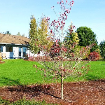 High Tech Turf Renovator Technology To YOU !