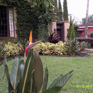 Mediterranean Revival in Downtown Orlando Front Landscape