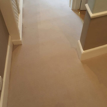 Beige Carpet to Stairs and Living Areas