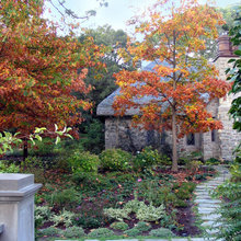Landscape ideas
