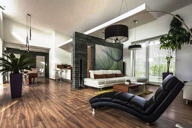 Home design - modern home design idea in Montreal