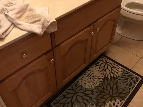 Update Brown Bathroom