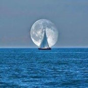 Kimberly Allen's photo