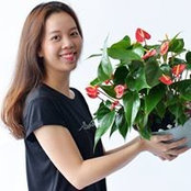 Nguyen Thao's photo