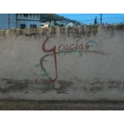 Farah Zuberi's photo