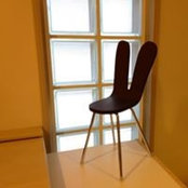 Saori Hashitsumes foto