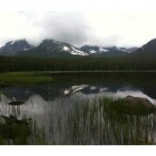 Rich Browne's photo