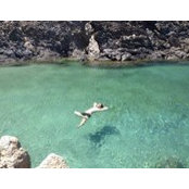 Santito Bo Sch's photo