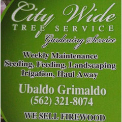 Citywide Tree  Service