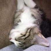 Danielle Stoddard's photo