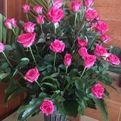 Danii Cherrie's photo