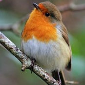 Trish Brewitt's photo