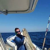 Richard Gabor's photo