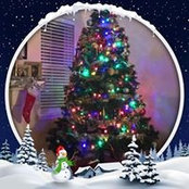 Randi Stover's photo