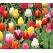 Michele Thoma's photo