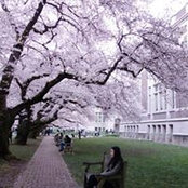 Hanrui Tang's photo