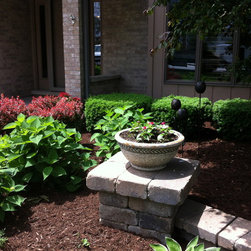 Bushes and Shrubs - Products