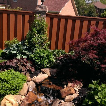 Natural Landscape & Ecosystem Pond idea