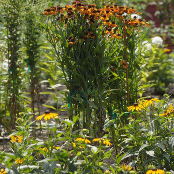 Planting to Highlight Yard Sculpture