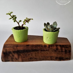 Live Edge Succulent Planters - Plate Stands And Hangers