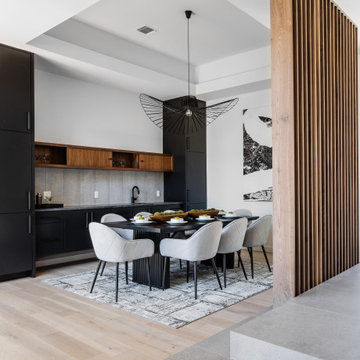 Barton Skyway Transitional Modern Stage