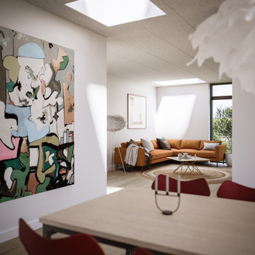Les maisons à toit plat