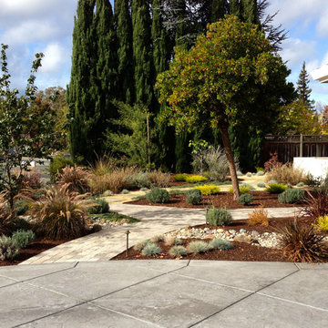 Modern Desert Style: a Water-Wise Front Yard Patio & Garden