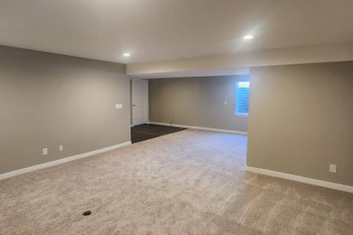Basement - traditional basement idea in Denver