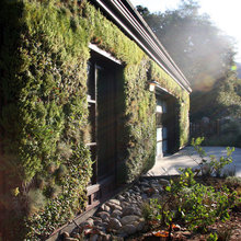vertical garden