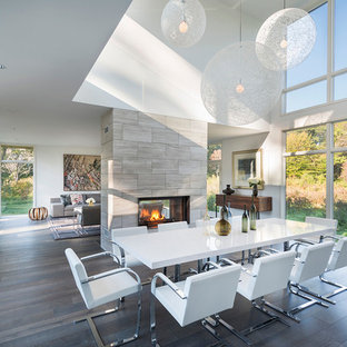 ボストンの広いコンテンポラリースタイルのLDKの画像 (白い壁、濃色無垢フローリング、両方向型暖炉、タイルの暖炉まわり)