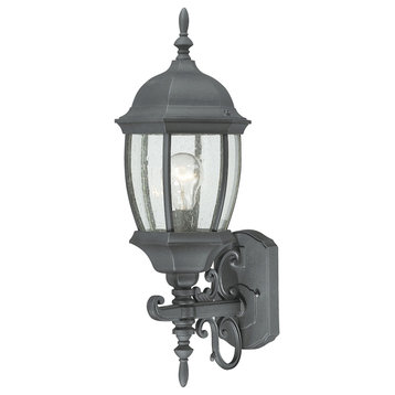 Covington 1-Light Outdoor Wall Lantern, Black and Seedy Glass