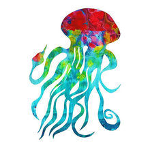 jellyfish