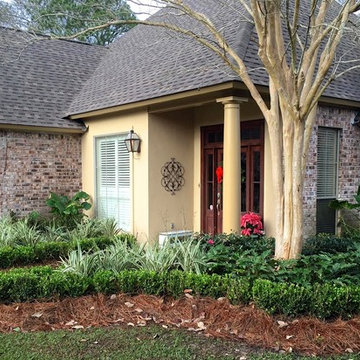 Modern Boxwood Look