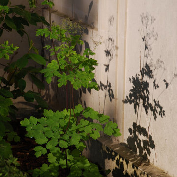 Impressions - Jardin