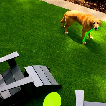 Guide Dog for the Blind Retirement Home