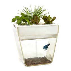 Fish Farm - Home Decor