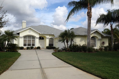 Tropical exterior home idea in Tampa