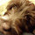 Victoria McHugh