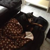 Michael Vatter's photo
