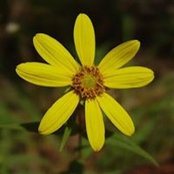 Eman Elaty's photo