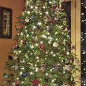 Lori Turner's photo
