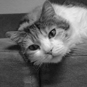 Janice Nerly's photo