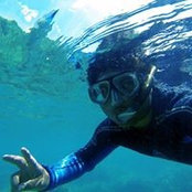 Davide Ienco's photo