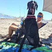 Jake Earp's photo