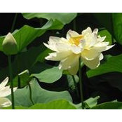 Joyce Miller's photo