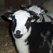 Kim Anderson's photo