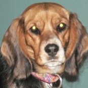 Jennifer Binert Runyan's photo