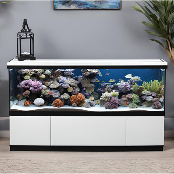 Custom Aquarium Fabrication & Installation