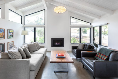 Living room - 1950s concrete floor and gray floor living room idea in Sacramento with white walls and a standard fireplace
