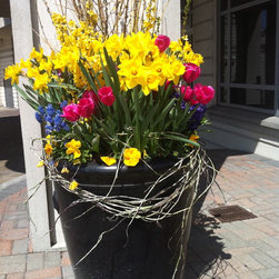 Spring Planters - Products